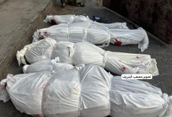 52 شهيدا و118 جريحا في 4 مجازر صهيونية خلال 48 ساعة