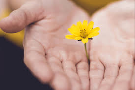 علموا أولادكم ثقافة الاعتذار من خلال 6 خطوات