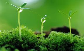 فقه الأخوة في الله