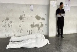 اليوم الـ 389 للعدوان على غزة.. الإبادة الجماعية مستمرة