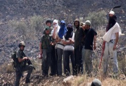 دعوات متواصلة للتصدي للمستوطنين الصهاينة في الضفة المحتلة