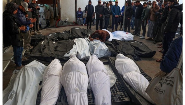 طبيبة أمام مجلس الأمن: الإبادة في غزة تمهيد لنهاية الإنسانية