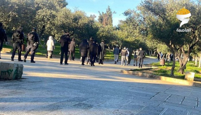 صهاينة يقتحمون المسجد الأقصى تحت حماية الاحتلال