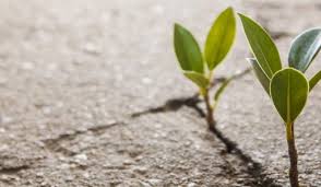 الرسول وصناعة الأمل