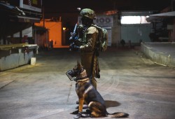 الدفاع المدني بغزة: الاحتلال يترك جتامين الشهداء لتنهشها الكلاب