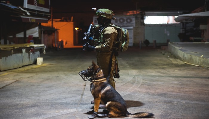 الدفاع المدني بغزة: الاحتلال يترك جتامين الشهداء لتنهشها الكلاب