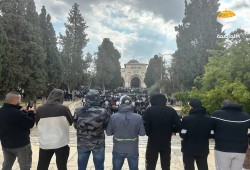 40 ألفاٍ يُؤدون صلاة الجمعة في المسجد الأقصى