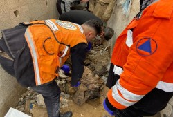 17 شهيداً و19 جريحا في غزة خلال 24 ساعة