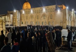 80 ألفا يؤدون صلاتي العشاء والتراويح في المسجد الأقصى