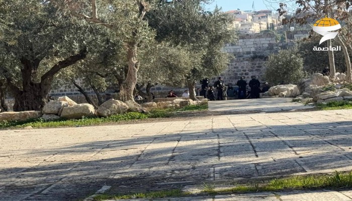 صهاينة يقتحمون الأقصى تزامنا مع عيد المساخر اليهودي