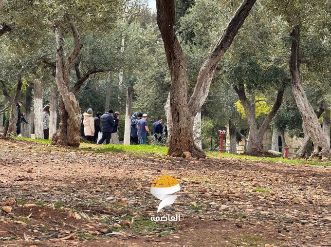 عشرات المستوطنين الصهاينة يقتحمون باحات الأقصى
