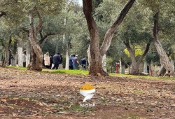 عشرات المستوطنين الصهاينة يقتحمون باحات الأقصى