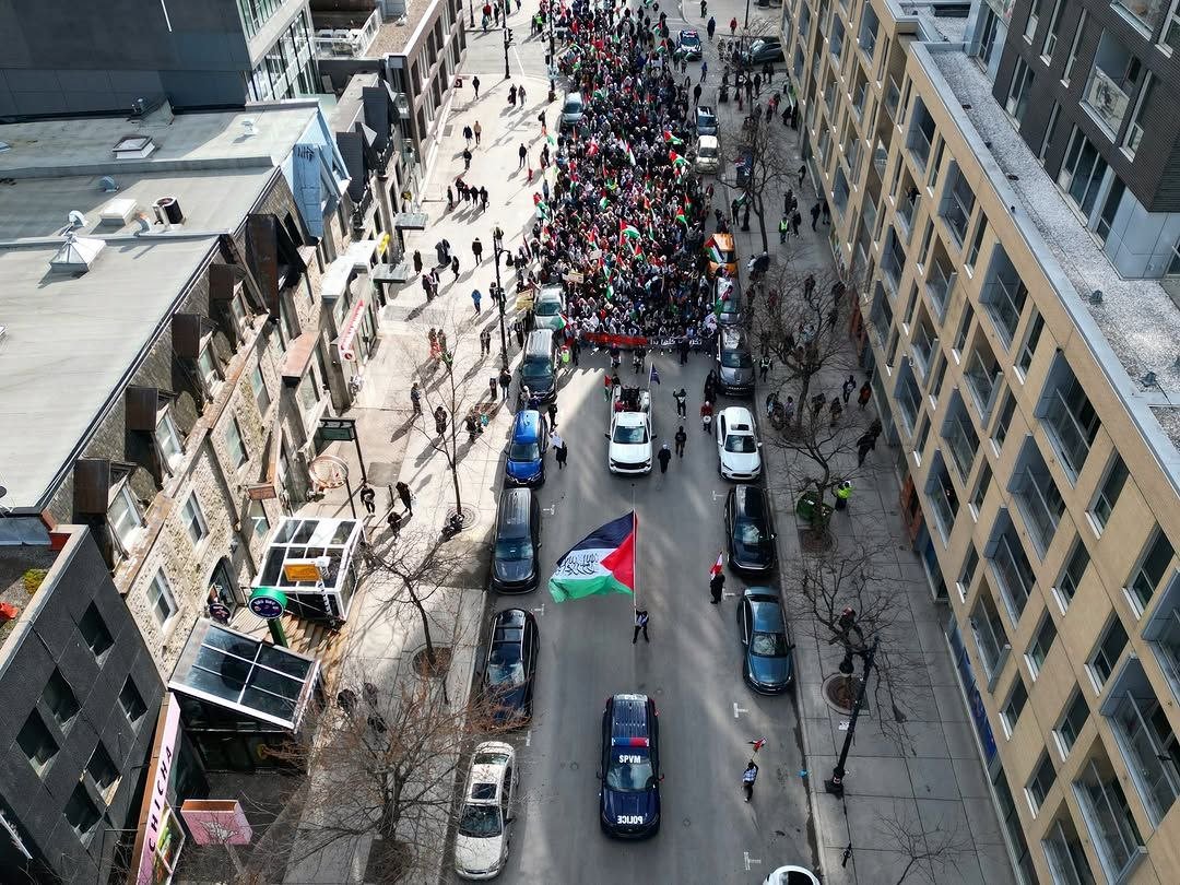 مشاركة واسعة في الإضراب العالمي لنصرة غزة والمطالبة بوقف الإبادة