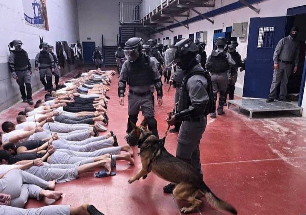 إصابة معتقلي سجن مجدو الصهيوني بالتسمم