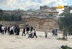 ألف صهيوني يدنسون المسجد الأقصى