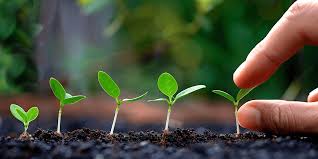 الوصايا العشر للمربي القدوة