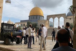 عشرات الصهاينة يقتحمون المسجد الأقصى بقيادة الإرهابي جليك
