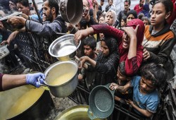 نفاد مخزون الطعام ببرنامج الأغذية العالمي في غزة.. ونداء أخير