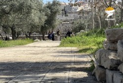 عشرات الصهاينة يقتحمون الأقصى وباحاته