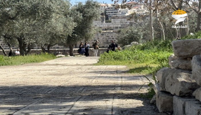 عشرات الصهاينة يقتحمون الأقصى وباحاته