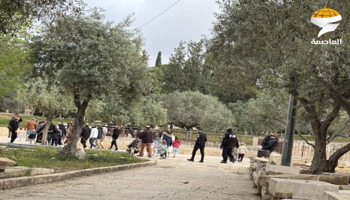 عشرات الصهاينة يقتحمون الأقصى ويؤدون طقوسًا تلمودية