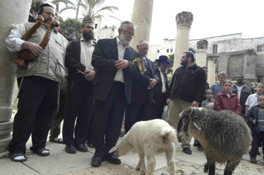 حماس تدعو للنفير لحماية الأقصى بعد محاولة ذبح القرابين