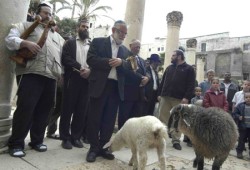 حماس تدعو للنفير لحماية الأقصى بعد محاولة ذبح القرابين