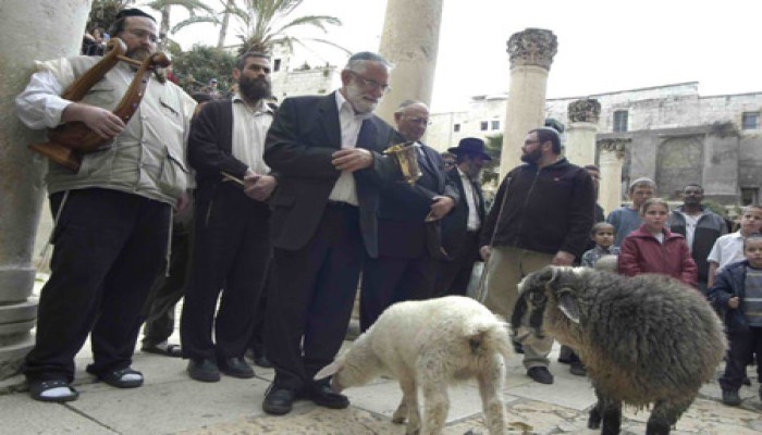 حماس تدعو للنفير لحماية الأقصى بعد محاولة ذبح القرابين