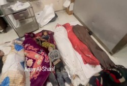 50 شهيدًا بمجازر الاحتلال في مخيم جباليا