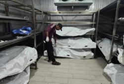 215 شهيدًا وجريحًا في غزة مع تواصل جرائم الإبادة الصهيونية