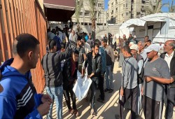 354 شهيدًا وجريحًا بغزة.. و343 رضيعًا ولدوا واستشهدوا في الحرب