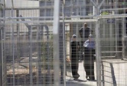 47 أسيرة فلسطينية بسجون الاحتلال يواجهن إذلالًا ممنهجًا