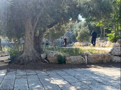 عشرات الصهاينة يقتحمون باحات الأقصى