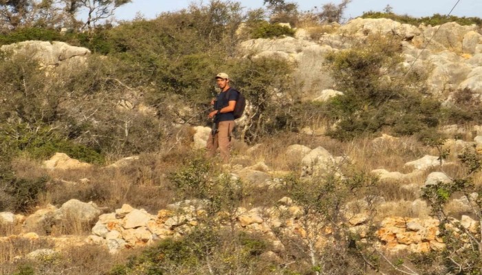 صهاينة يقطعون عشرات الأشجار المثمرة في كفر الديك