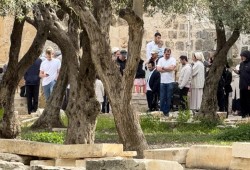 عشرات الصهاينة يقتحمون المسجد الأقصى بحماية شرطة الاحتلال