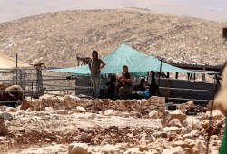 تحذير أممي من تصاعد عنف المستوطنين بالضفة المحتلة