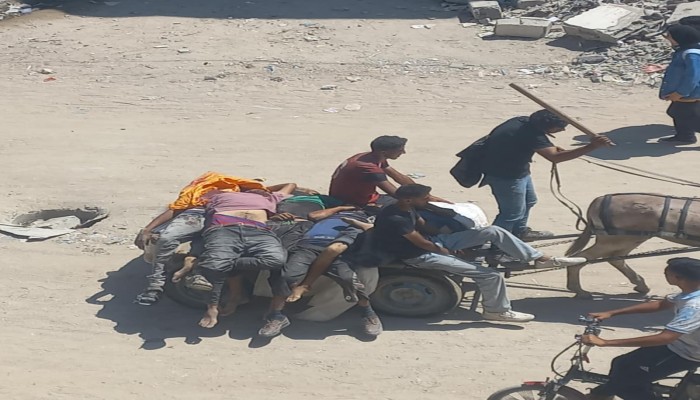 73 شهيدًا بمجازر الاحتلال ضد المجوعين في غزة