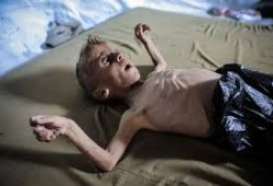 مقررة أممية: الاحتلال يرتكب إبادة جماعية بأبشع صورها في غزة