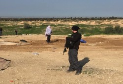 الاحتلال يهدم قرية العراقيب للمرة 243 على التوالي