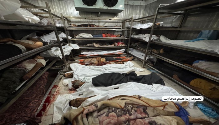 81 شهيدًا و666 جريحًا من منتظري المساعدات خلال 24 ساعة