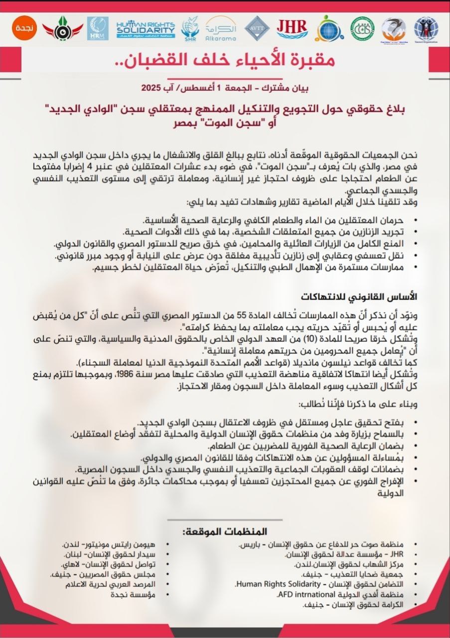 13 منظمة حقوقية تصدر بيانا حول مقبرة الأحياء بسجن الوادي الجديد