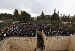 ذكرى حريق الأقصى..  لن تنجح مخططات الاحتلال