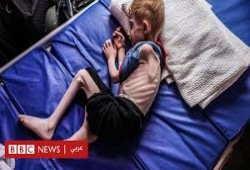 منظمة دولية لمجلس الأمن: أطفال غزة يموتون جوعا