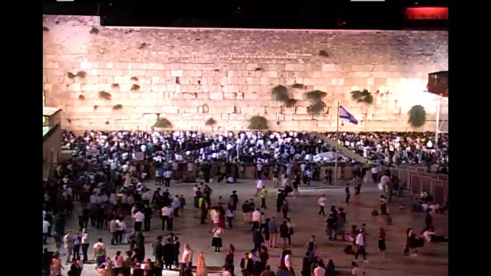 مئات الصهاينة يؤدّون طقوسًا تلمودية في ساحة البراق