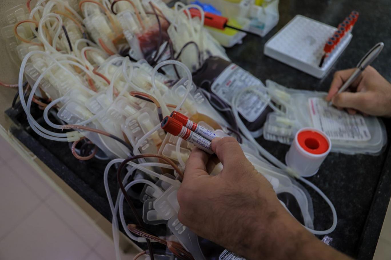 عجز شديد في بنوك الدم بغزة