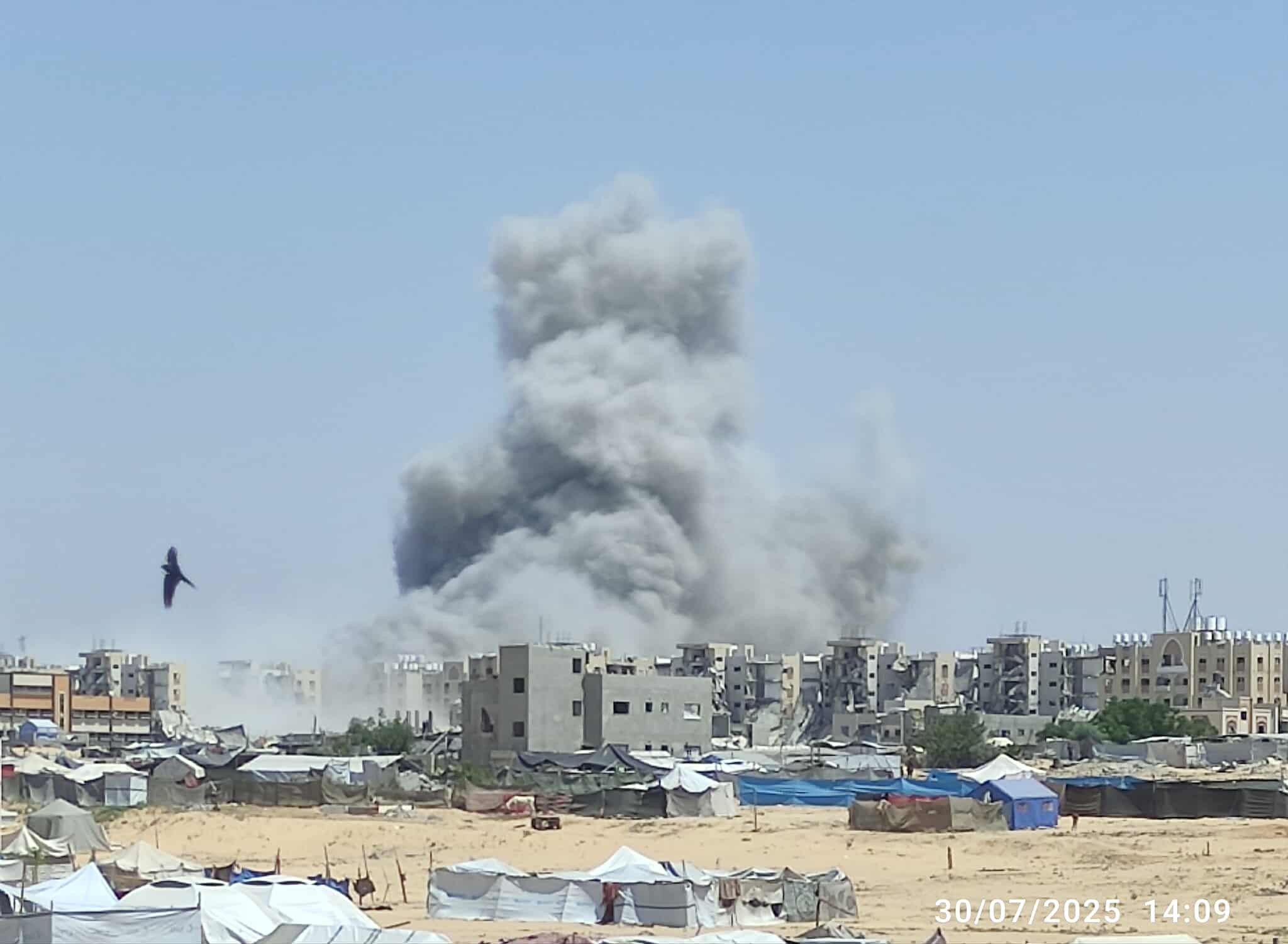 اليوم الـ 733 للعدوان على غزة.. حرب الإبادة مستمرة