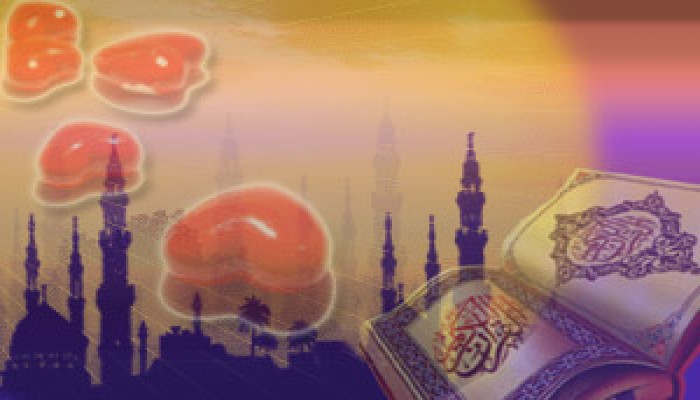 القوامة.. سعادة المرأة واستقرار الأسرة