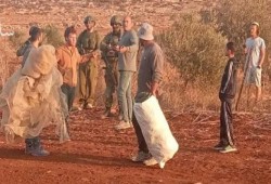 مستوطنون صهاينة يهاجمون  فلسطينيين في الخليل والأغوار