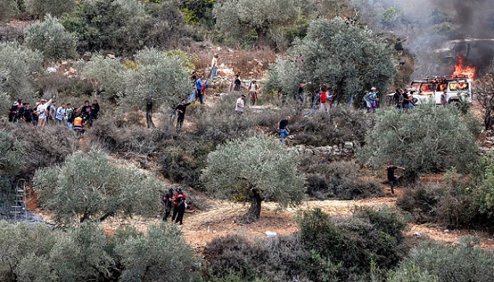 جيش الاحتلال ومستوطنوه يهاجمون مزارع الزيتون في الضفة