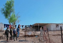 إرهابيون صهاينة يهاجمون تجمع العراعرة شمالي القدس المحتلة